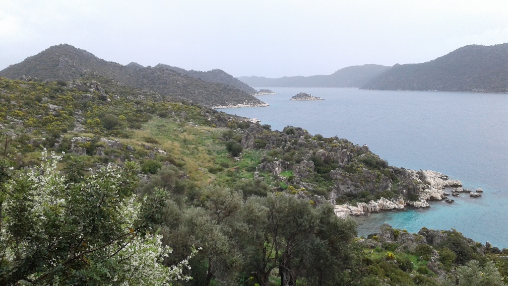 Kaş-Kekova Biyolojik Çeşitlilik Araştırma Proje Çalışması