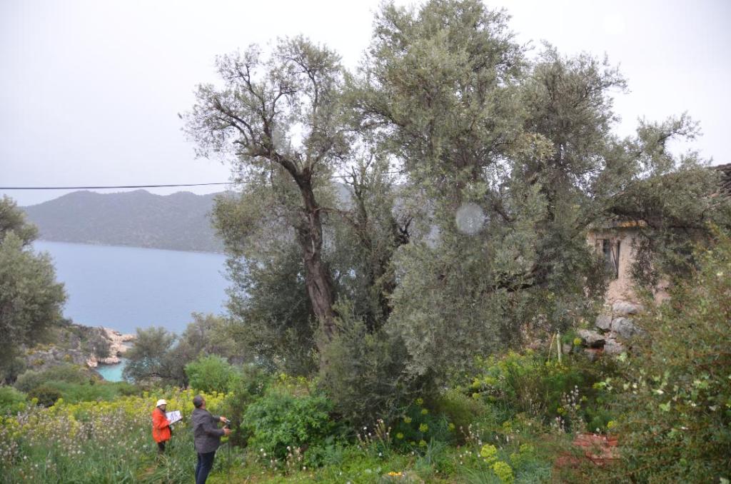 Kaş-Kekova Biyolojik Çeşitlilik Araştırma Proje Çalışması