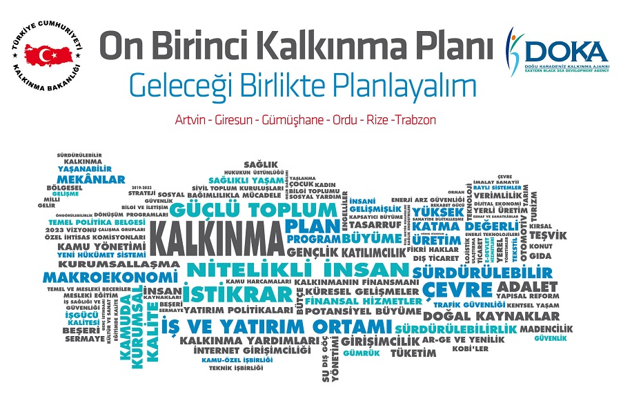 Onbirinci Kalkınma Planı Hazırlık Çalışması (Anket)