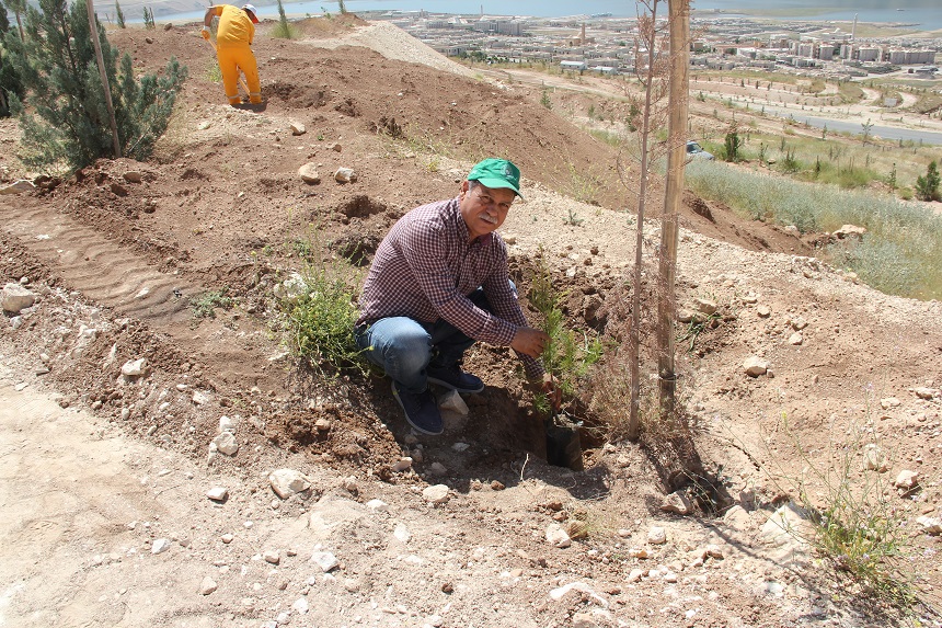 Hasankeyf Fidan Dikme Etkinliği