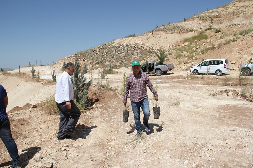 Hasankeyf Fidan Dikme Etkinliği