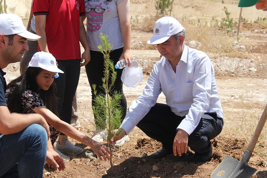 Hasankeyf Fidan Dikme Etkinliği