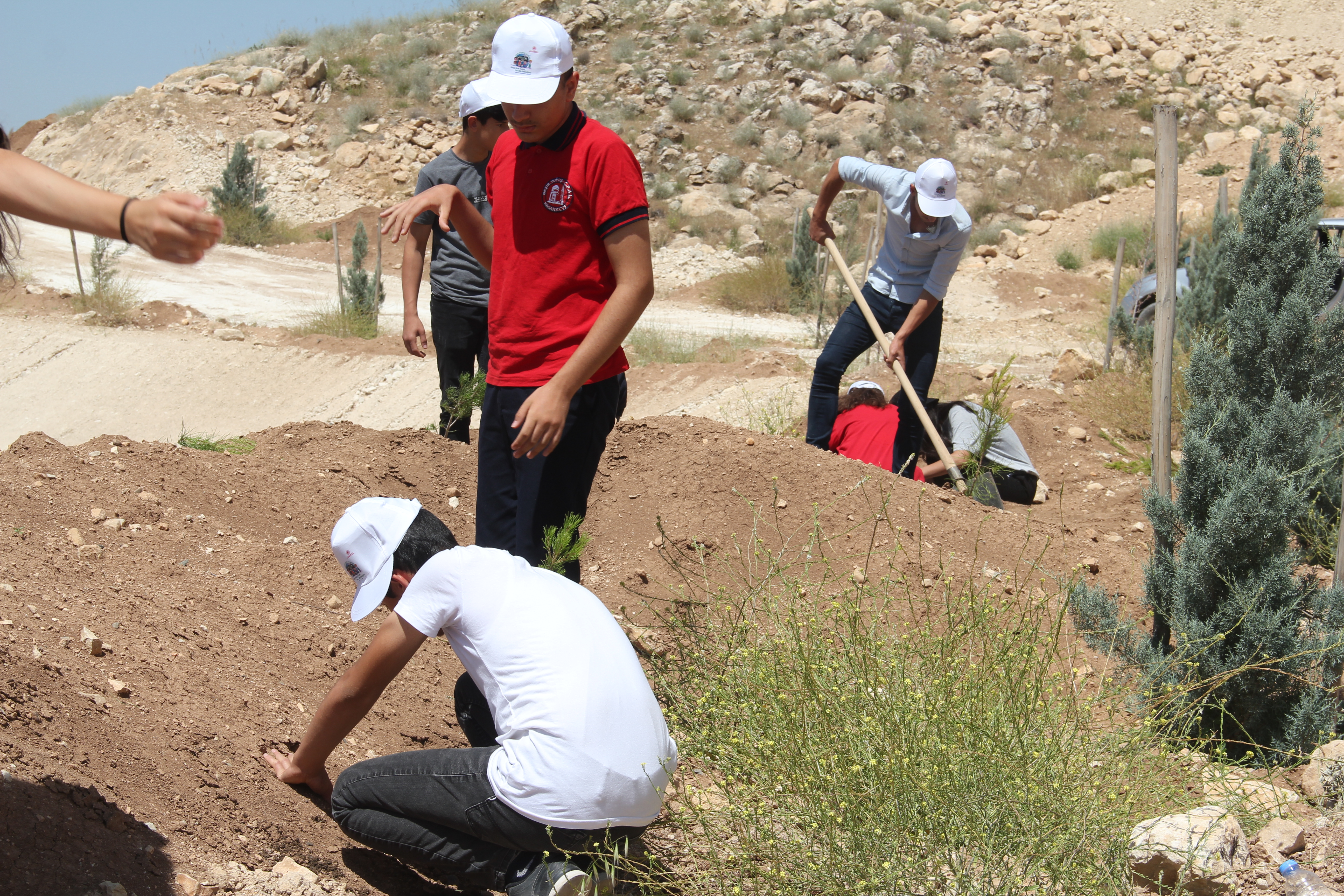 Hasankeyf Fidan Dikme Etkinliği