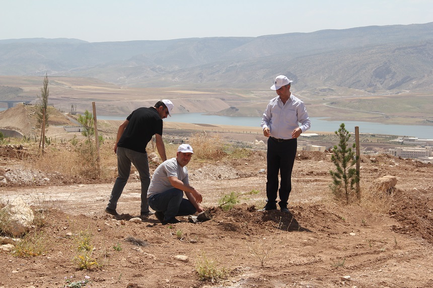 Hasankeyf Fidan Dikme Etkinliği