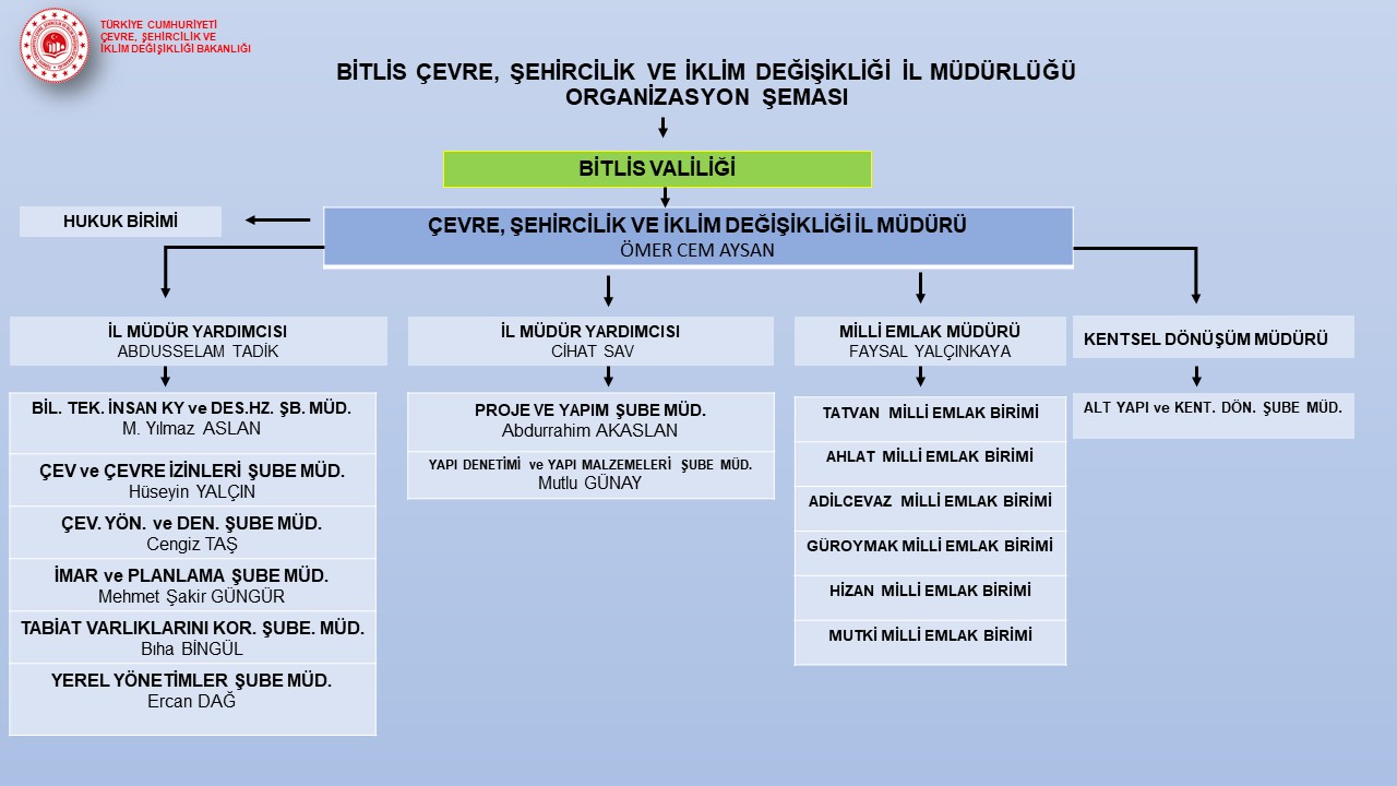 Organizasyon Şeması