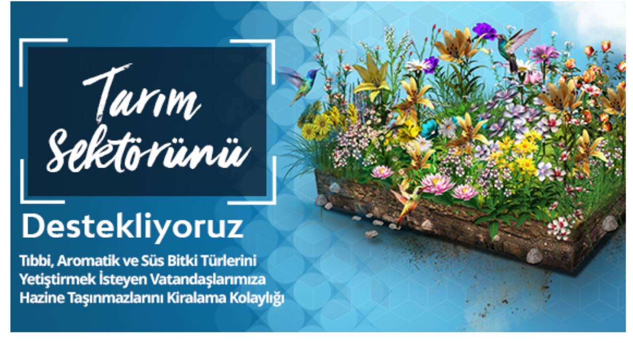 BURDUR İLİ TIBBİ AROMATİK VE SÜS BİTKİ DESTEĞİ