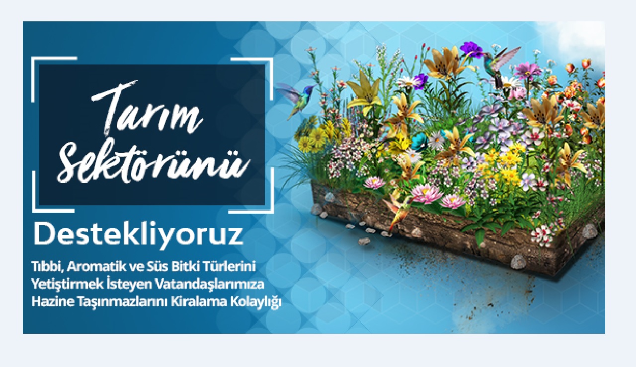 HAZİNE TAŞINMAZLARININ, TIBBİ VE AROMATİK BİTKİLER İLE SÜS BİTKİLERİ YETİŞTİRİLMEK AMACIYLA KİRALANMASINI TEŞVİK EDİYORUZ