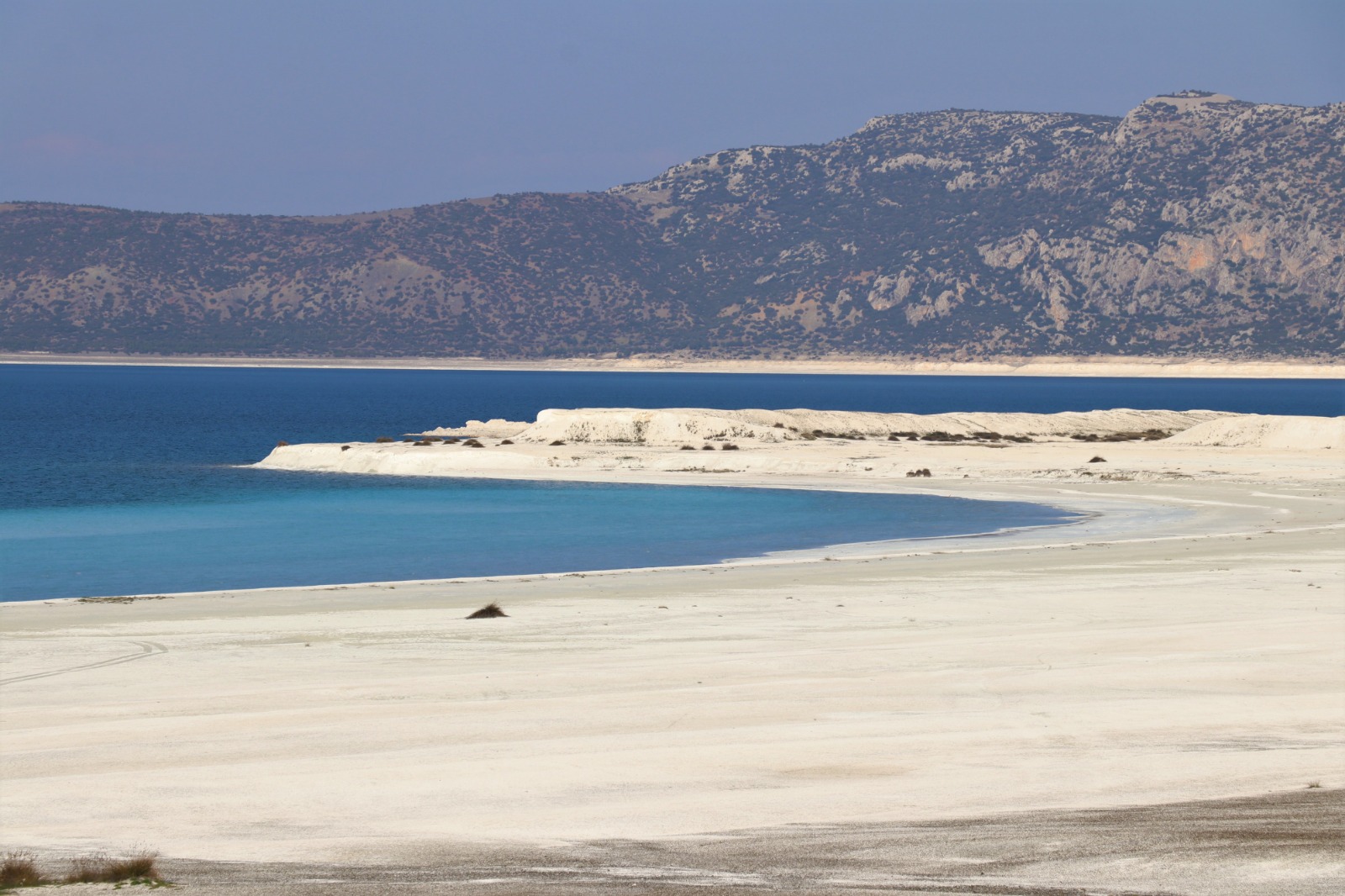 SALDA’YA KORUMA KALKANI: 