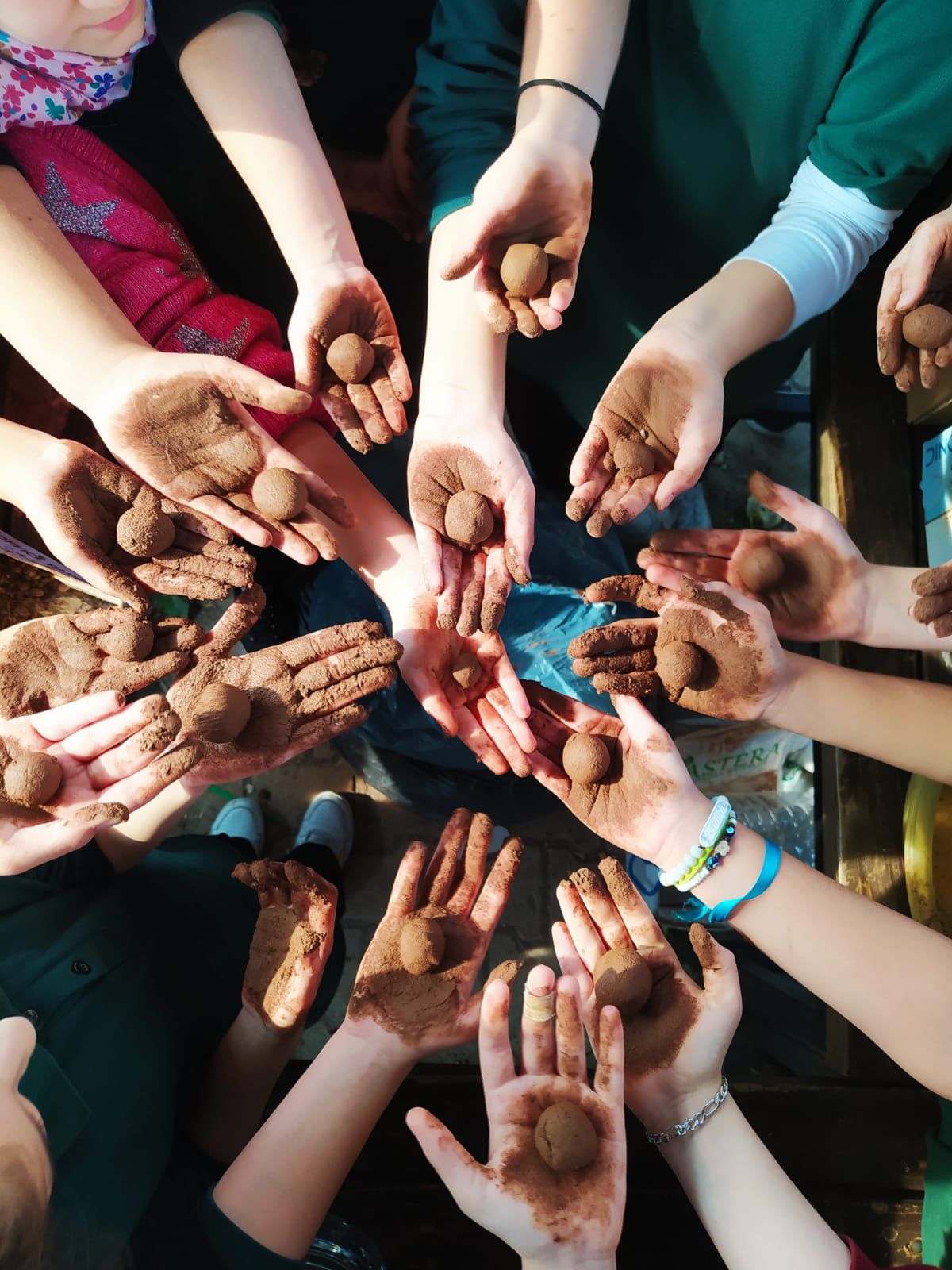 Doğa İçin Kanatlandılar: Öğrenciler Kompostla Hazırlanan Tohum Toplarını Yamaç Paraşütüyle Serpti
