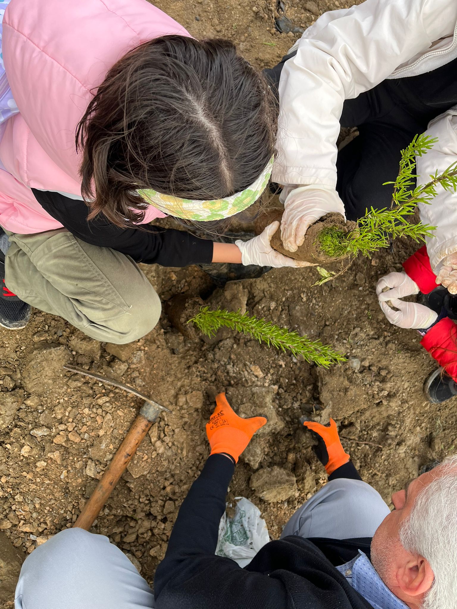 Gürsu’da 11 Kasım Milli Ağaçlandırma Günü Fidan Dikimi Gerçekleşti