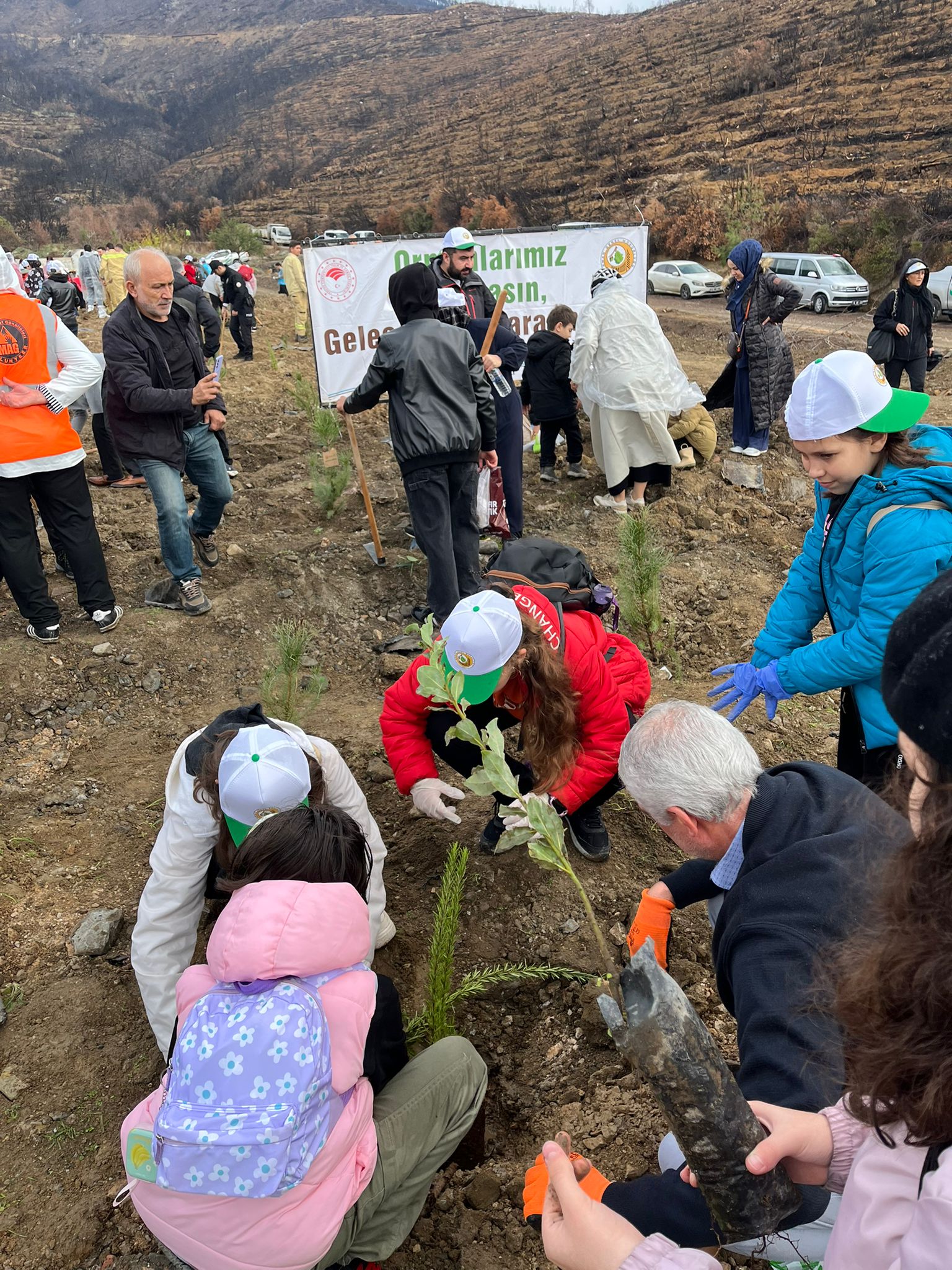 Gürsu’da 11 Kasım Milli Ağaçlandırma Günü Fidan Dikimi Gerçekleşti