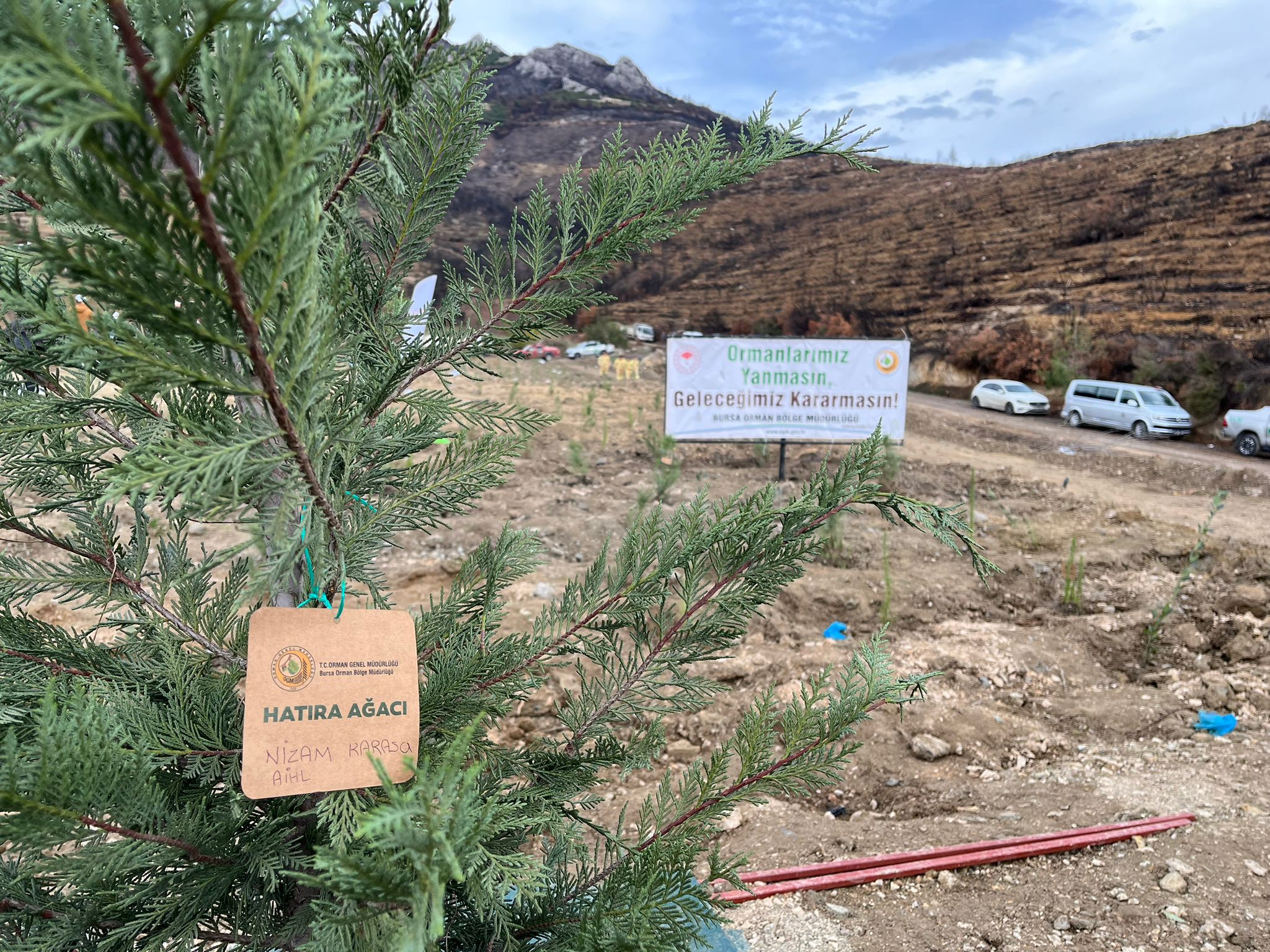 Gürsu’da 11 Kasım Milli Ağaçlandırma Günü Fidan Dikimi Gerçekleşti