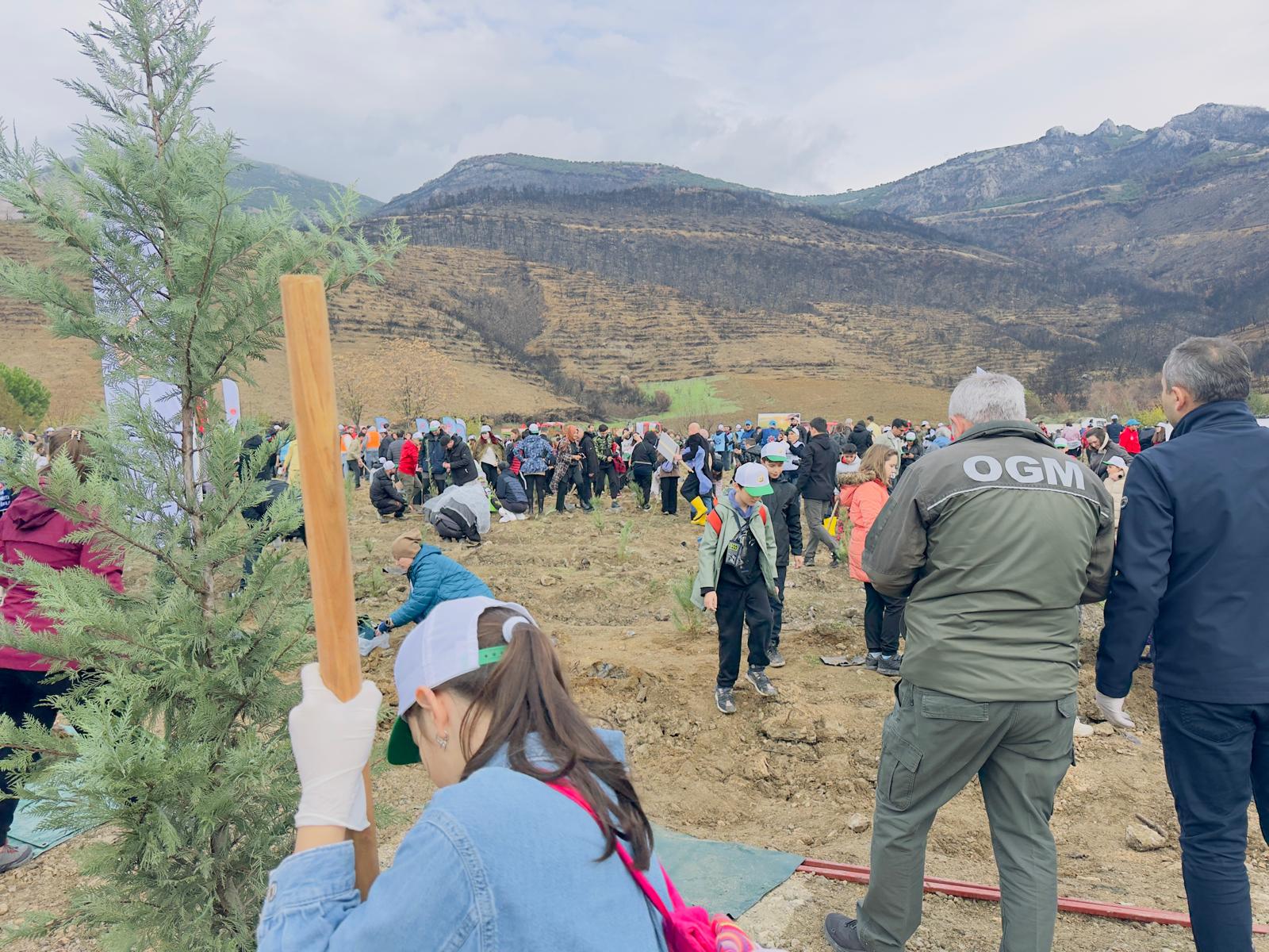 Gürsu’da 11 Kasım Milli Ağaçlandırma Günü Fidan Dikimi Gerçekleşti