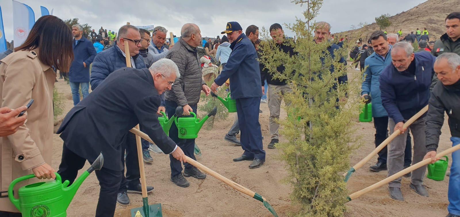 11 Kasım Milli Ağaçlandırma Günü Fidan Dikim Etkinliği