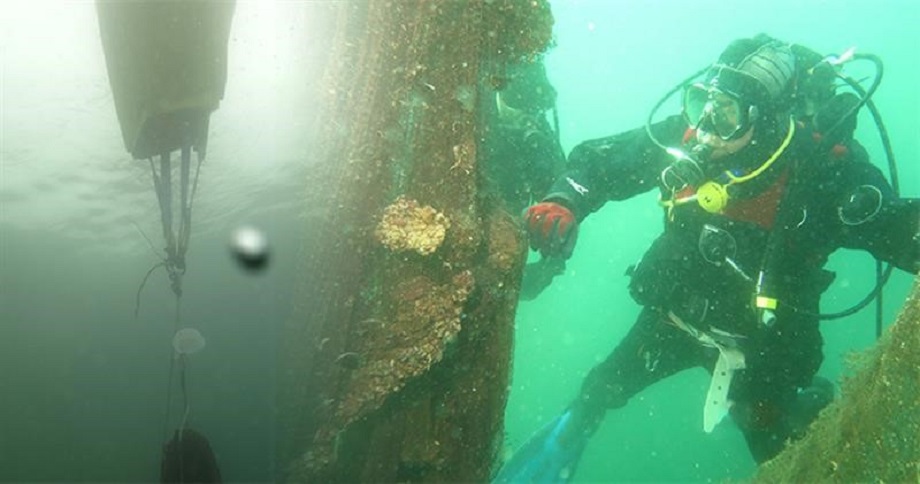 ÇANAKKALE İLİ DENİZ ÇÖPLERİ İL EYLEM PLANI