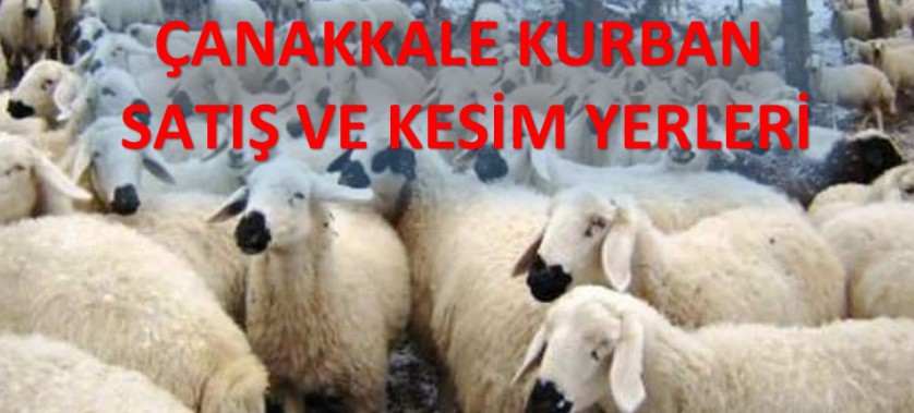 ÇANAKKALE MERKEZ KURBAN SATIŞ VE KESİM YERLERİ