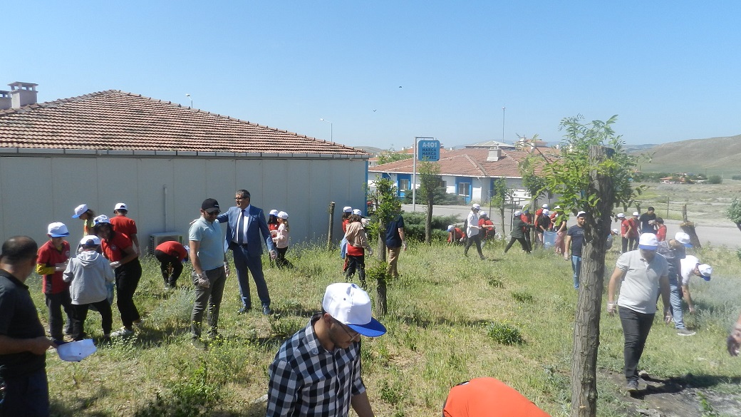 Çevre Kirliliğinin Temizlenmesi Etkinliği