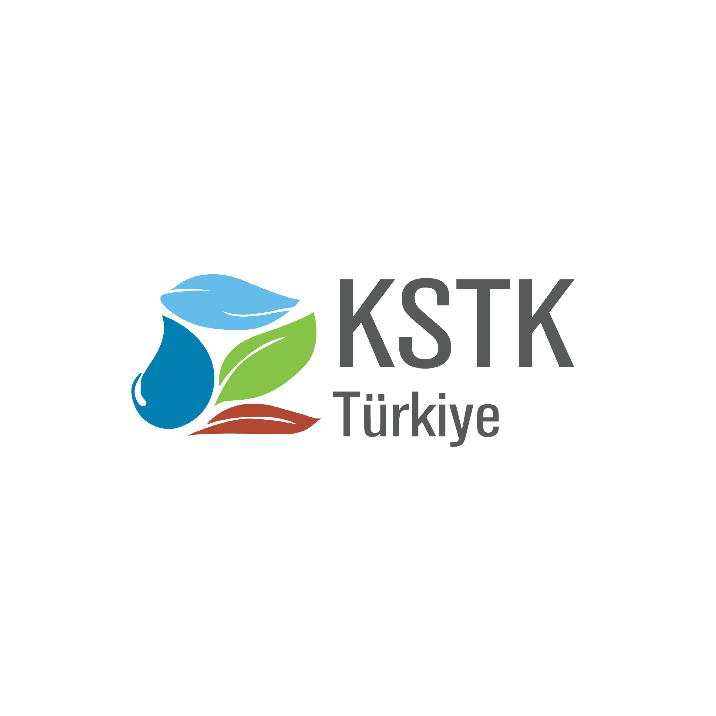 KSTK Yönetmeliği Uygulamaları - Kimya Sanayisi Sektörü