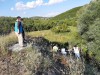MARMARA DENİZİ EYLEM PLANI KAPSAMINDA 272 BİN 288 İŞLETME VE DENİZ ARACI DENETLENDİ