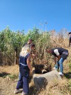 MARMARA'DA İLERİ BİYOLOJİK ARITMA TESİSİ KURULUMU İÇİN TANINAN YASAL SÜRE DOLDU