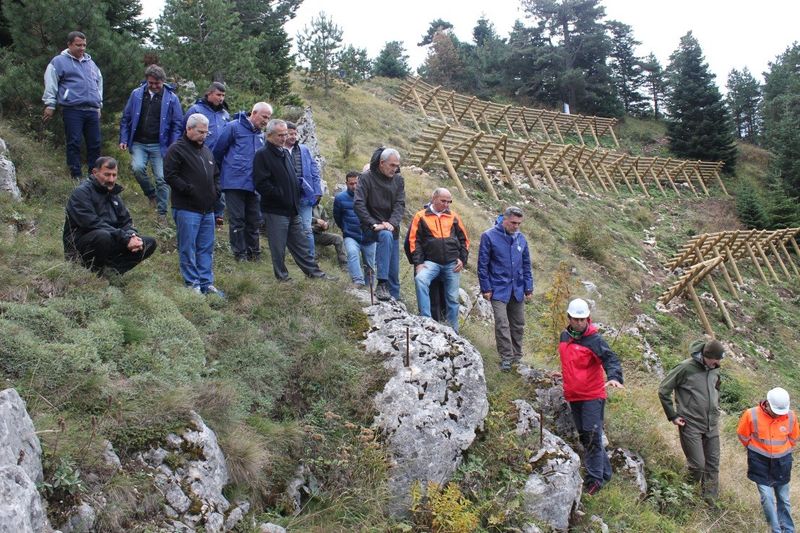 Bolu İnceleme