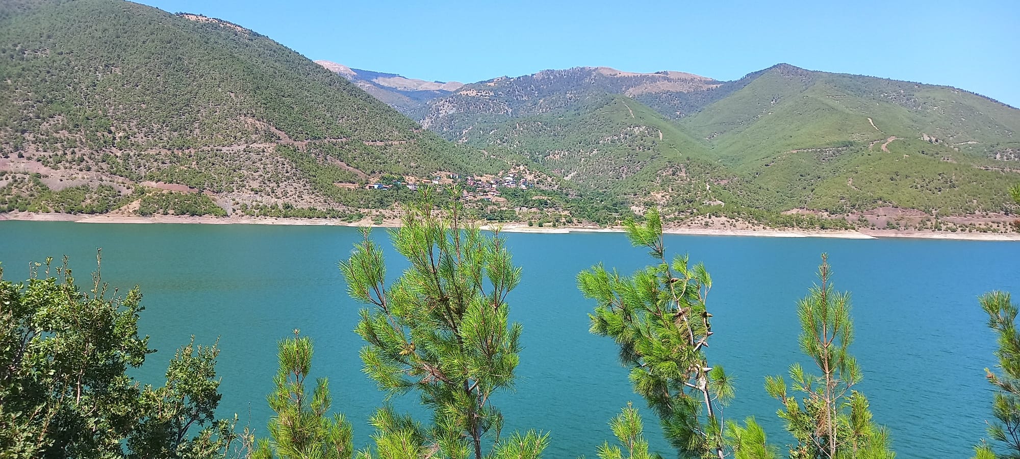 Boyabat Baraj Gölünde Planlanan Kafes Balıkçılığı Projeleri İnceleme Çalışması