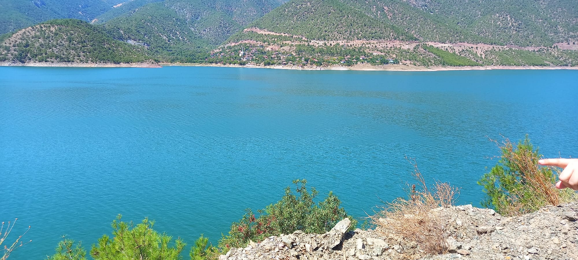 Boyabat Baraj Gölünde Planlanan Kafes Balıkçılığı Projeleri İnceleme Çalışması