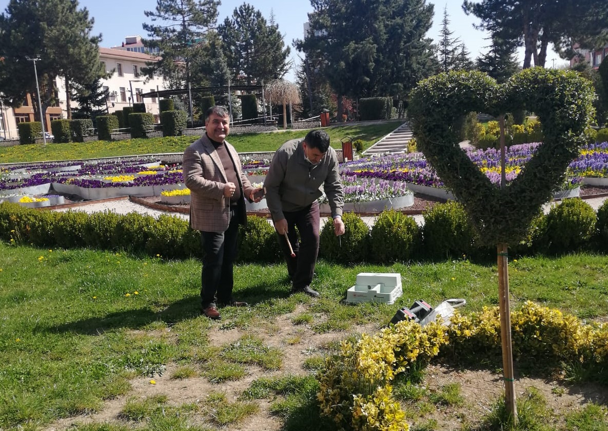 Koronavirüsle Mücadele Tedbirleri Kapsamında Sokak Hayvanları İçin İl Müdürlüğümüzce Çalışmalar Yapıldı.