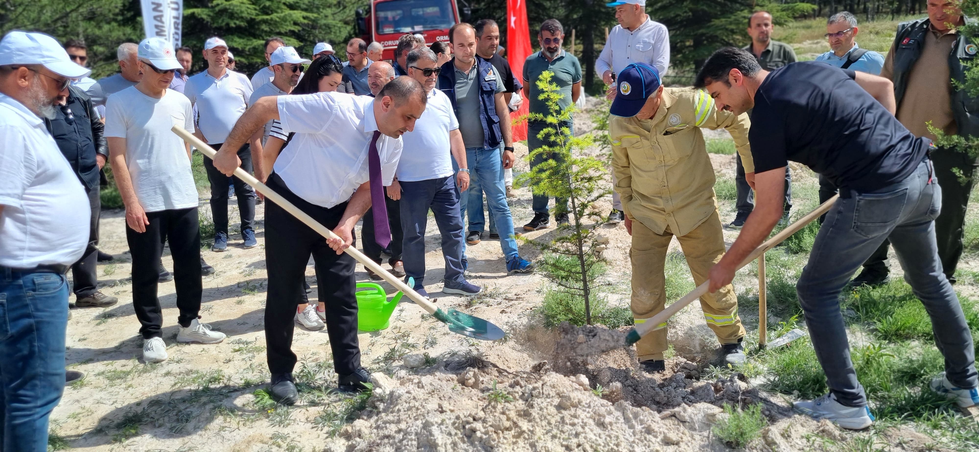 Türkiye Çevre Haftası İlimizde Çeşitli Etkinliklerle Kutlandı