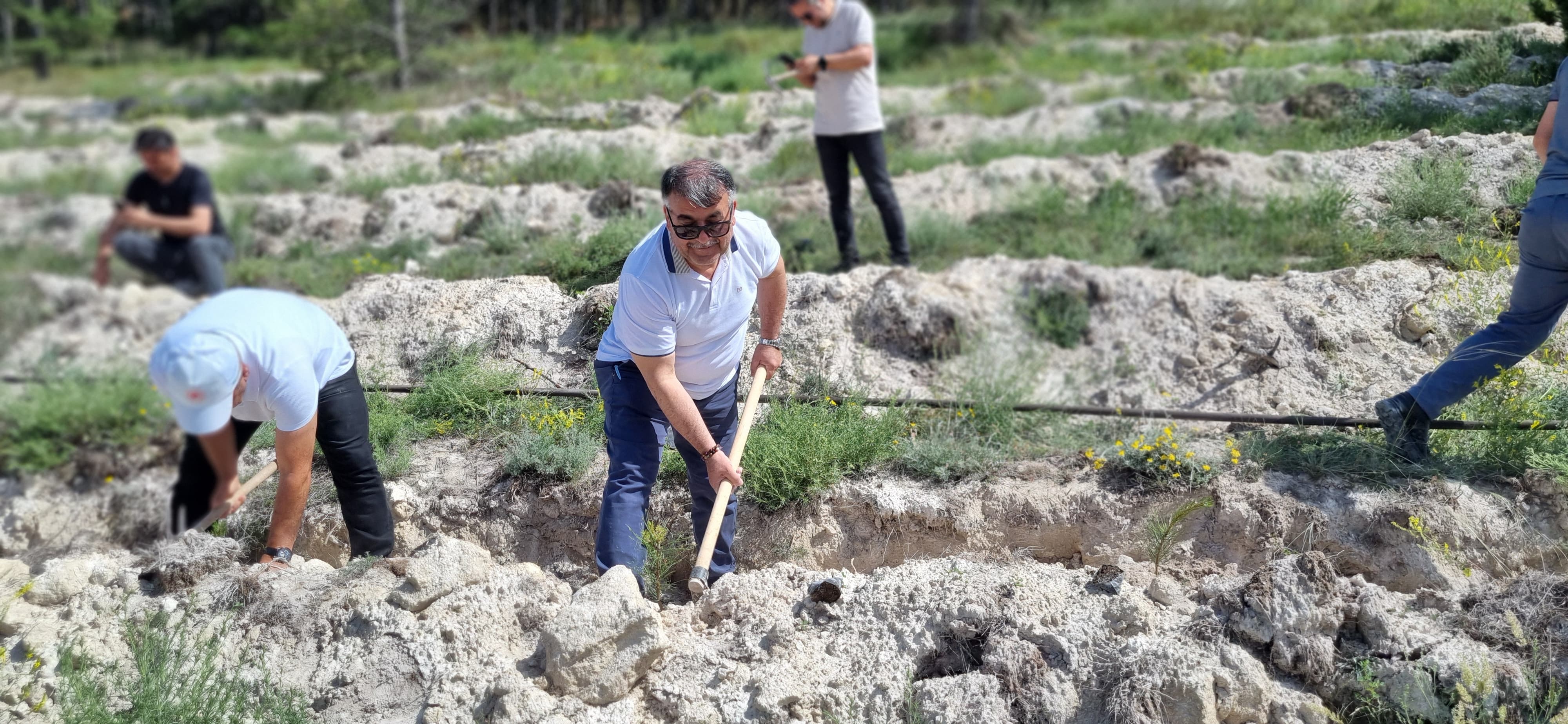 Türkiye Çevre Haftası İlimizde Çeşitli Etkinliklerle Kutlandı