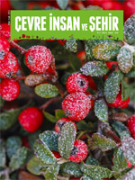 Çevre İnsan ve Şehir Dergisi Aralık 2016…