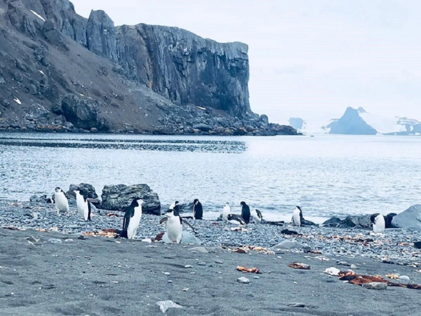 Antarktika’da Çevre Koruma Protokolü’nün Uygulanmasına Dair Yönetmelik yayımlandı.