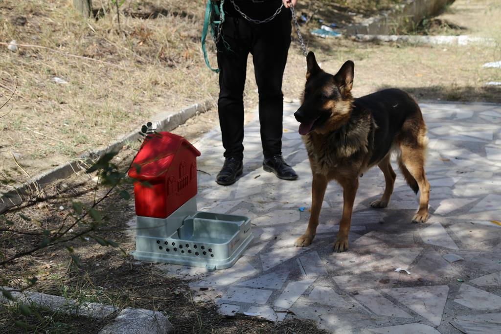 4 Ekim Hayvanları Koruma Günü