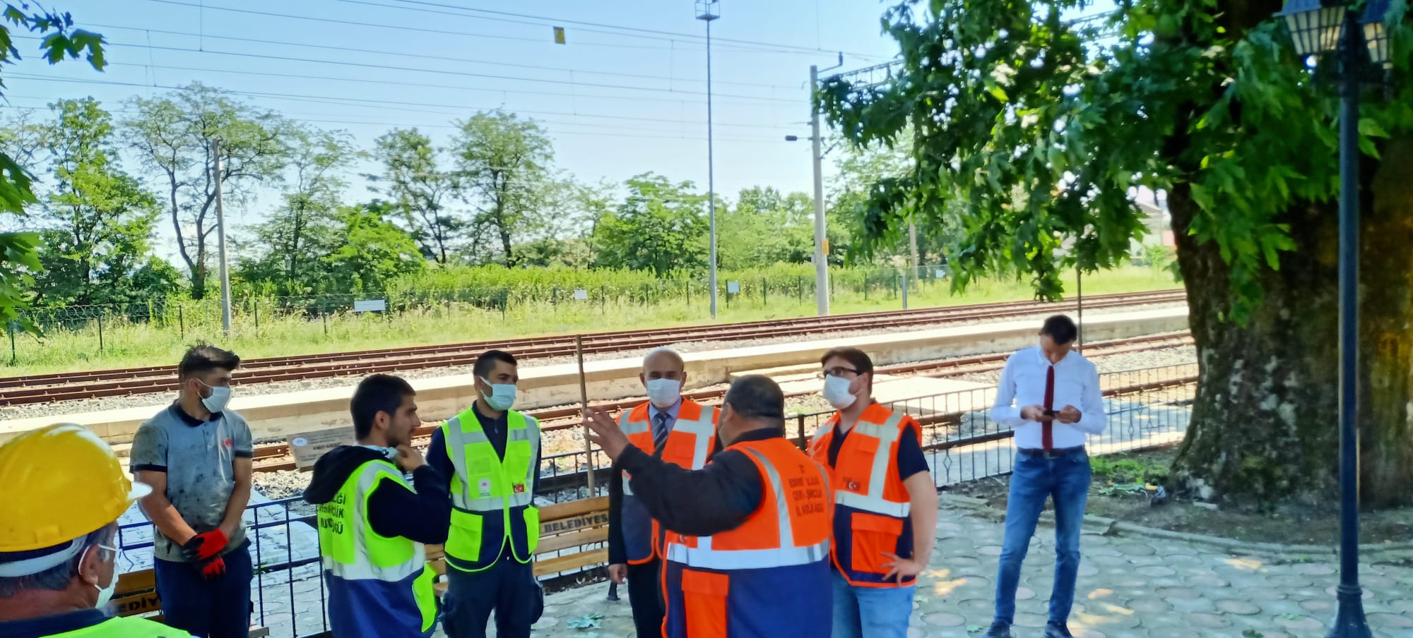 Anıt Ağaçların Bakım ve Rehabilitasyon Çalışmaları Devam Ediyor