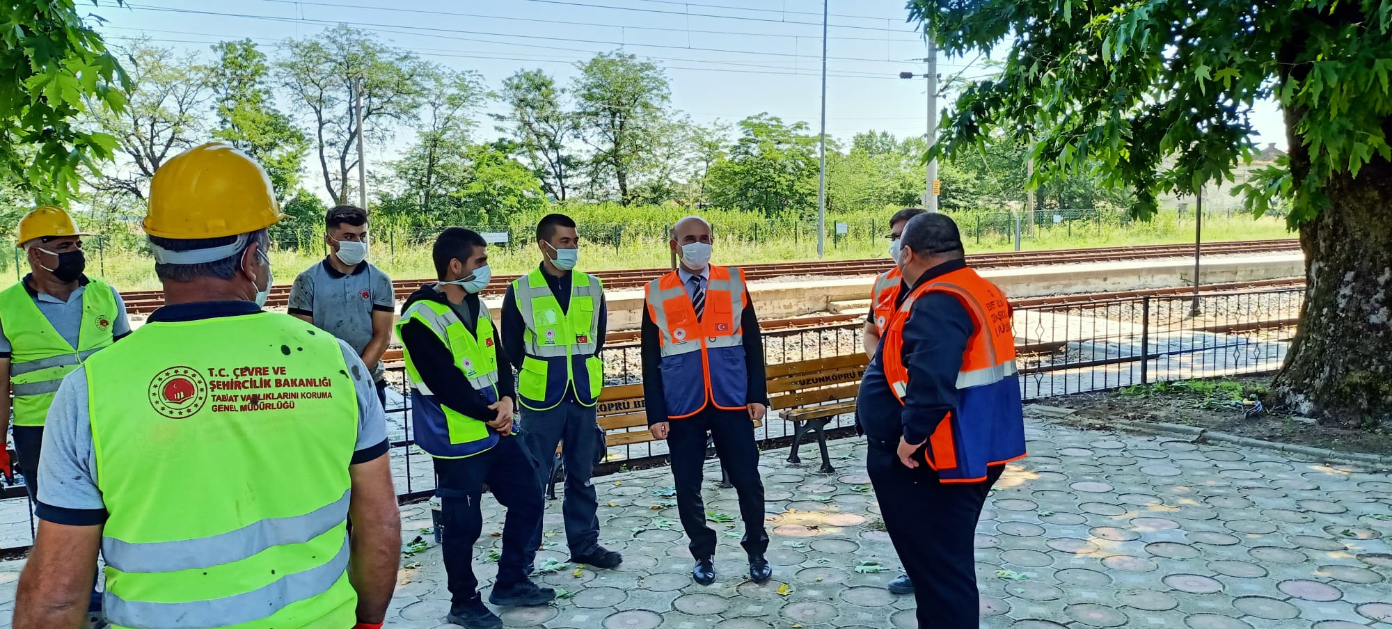 Anıt Ağaçların Bakım ve Rehabilitasyon Çalışmaları Devam Ediyor