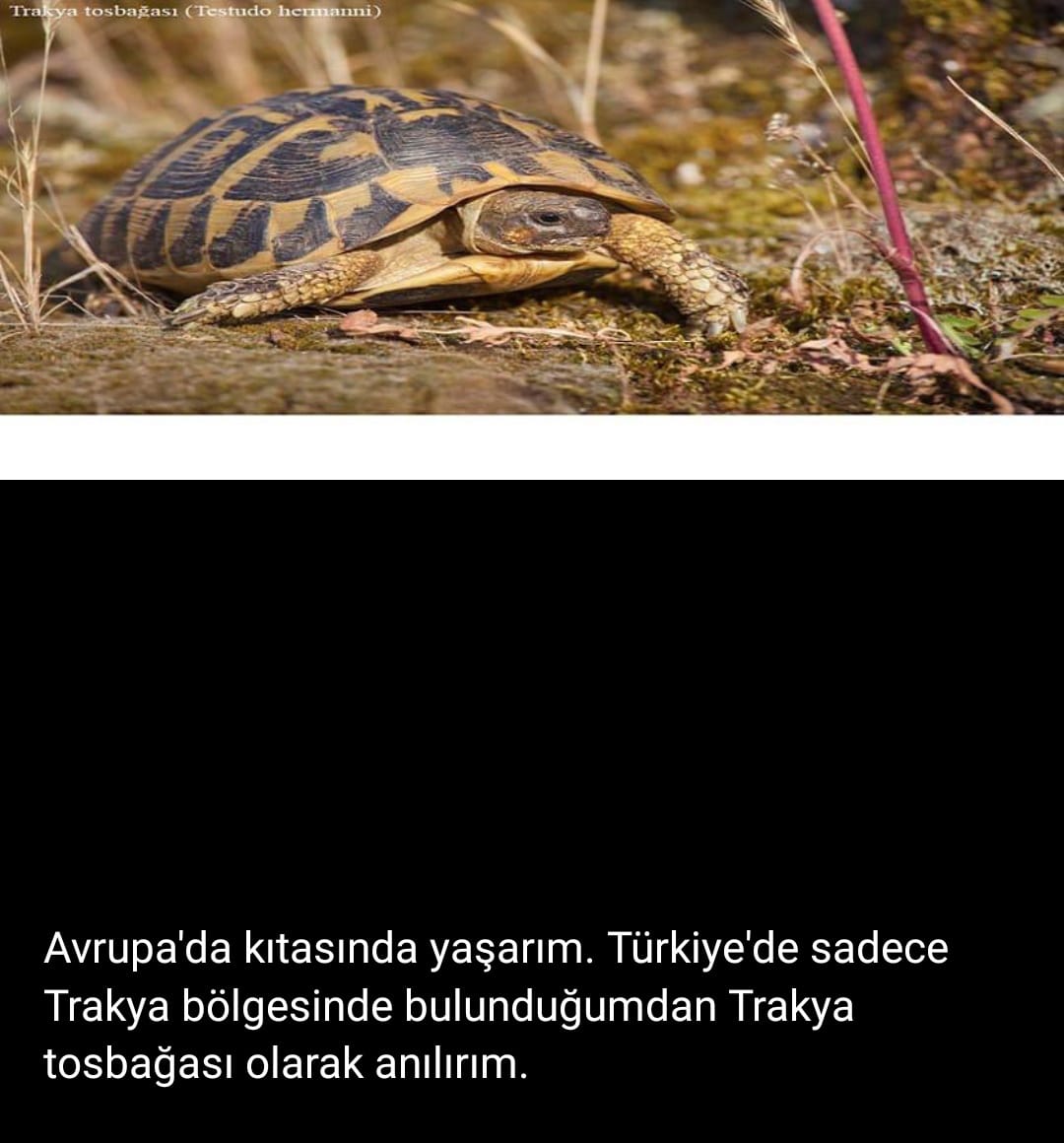 Edirne Tabiat Varlıklarını Koruma Bölge Komisyonu Toplantısı Gerçekleştirildi