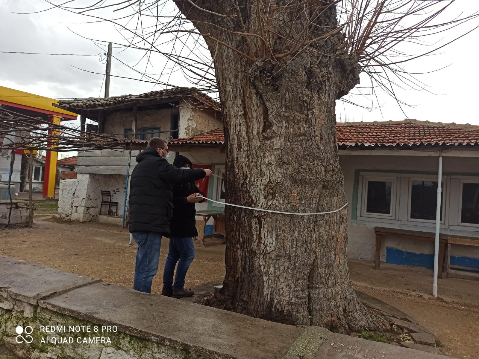 TABİATİN SESSİZ TANİKLARİ POTANSİYEL ANİT AĞAÇLARIN TESPİT ÇALIŞMASI