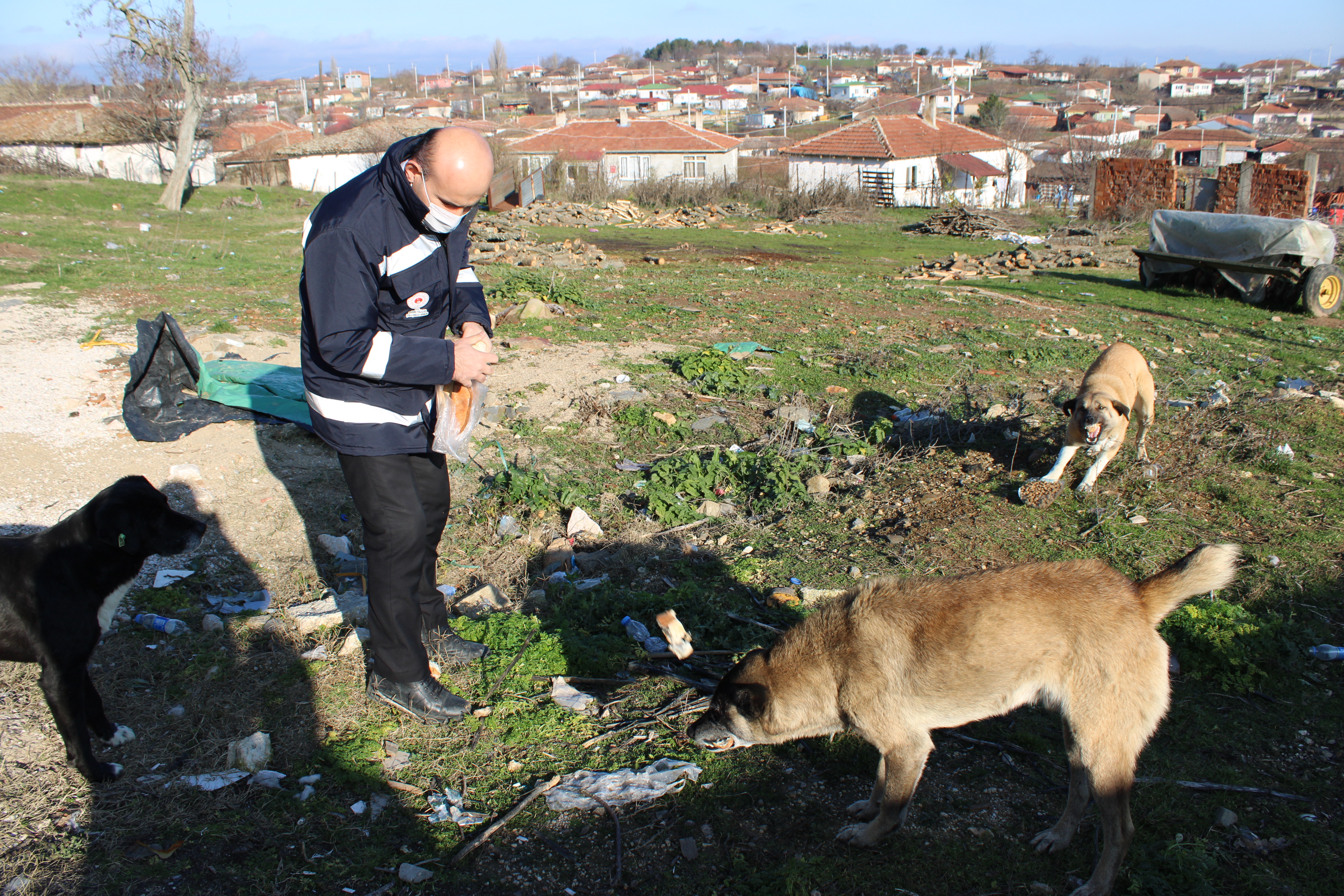 Yiyecek ve Mamaları Can Dostu Hayvanlarımız İle Buluşturmaya Devam Ediyoruz