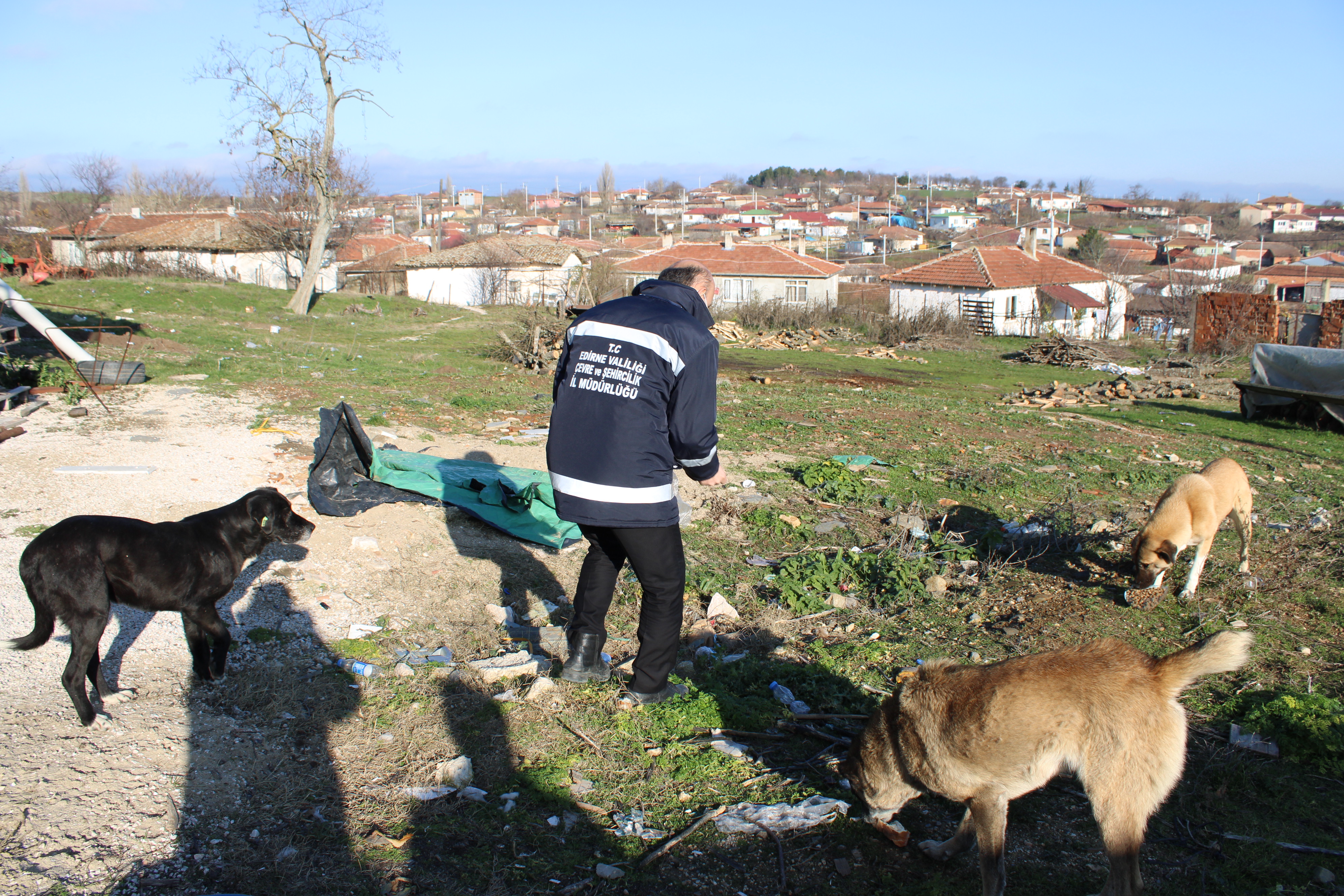 Yiyecek ve Mamaları Can Dostu Hayvanlarımız İle Buluşturmaya Devam Ediyoruz