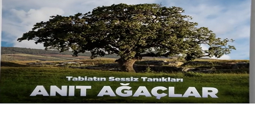 Yüzyıllara Tanıklık Eden Anıt Ağaçlarımız ve Mağaralarımız