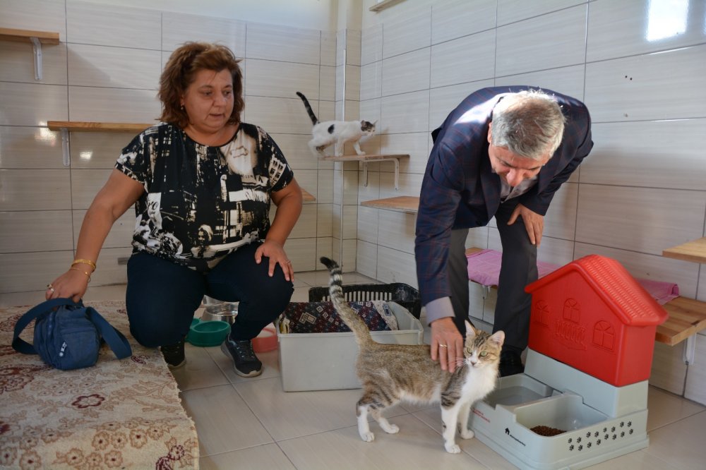 4 Ekim Hayvanlari Koruma Gunu Nedeniyle Mustafa Pirincci Elazig Belediyesine Ait Hayvan Barinagi Ni Ziyaret Etti