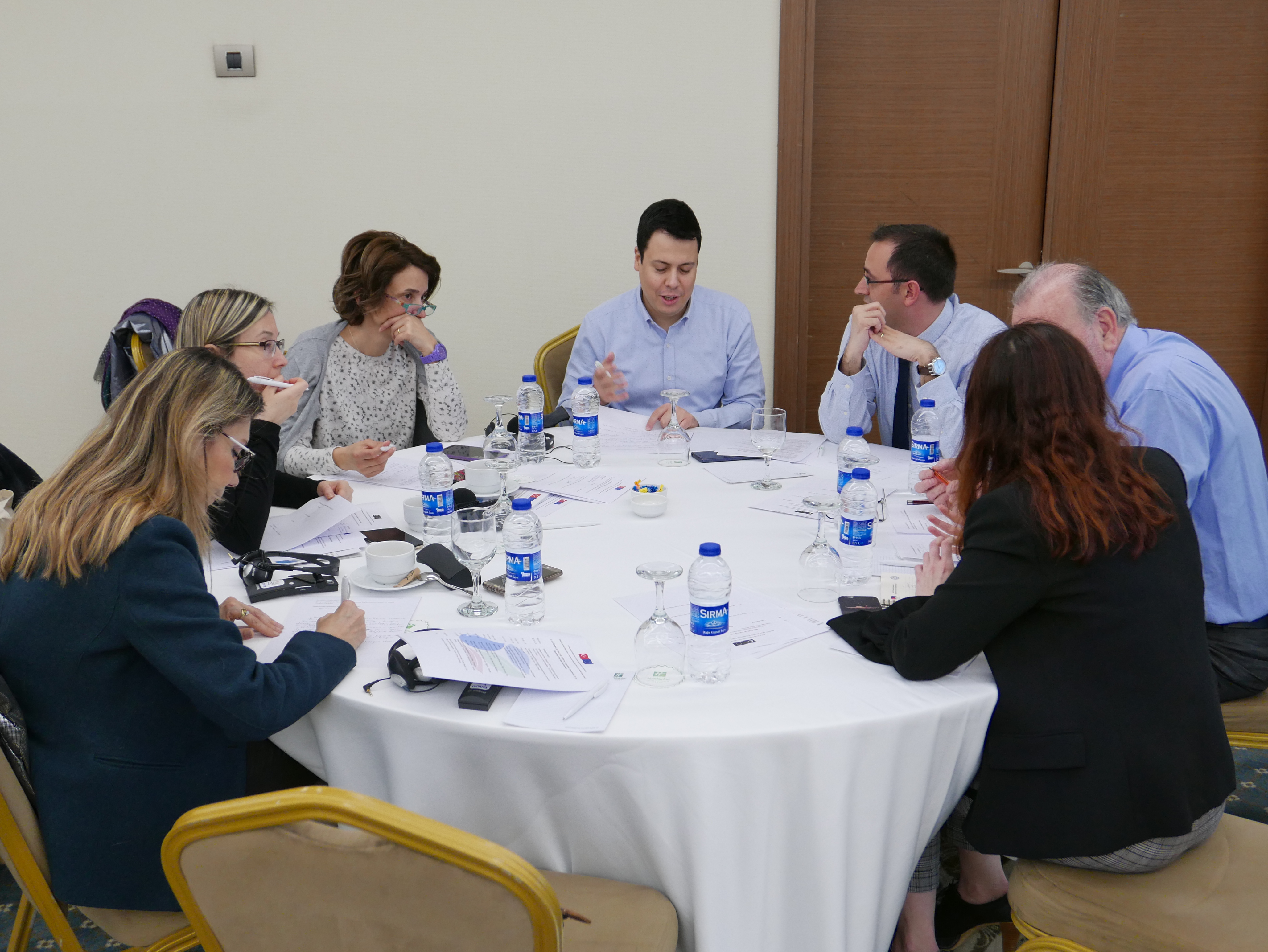 Activity 2.3: Regulatory Impact Assessment Training in Ankara