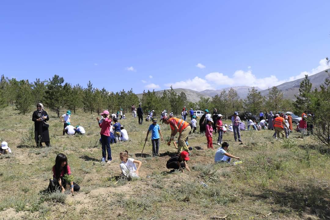 1-7 Haziran Türkiye Çevre Haftası Etkinlikleri Kapsamında Fidan Dikimi İle Türkiye Çevre Haftası Etkinliklerimizin Finalini Gerçekleştirdik