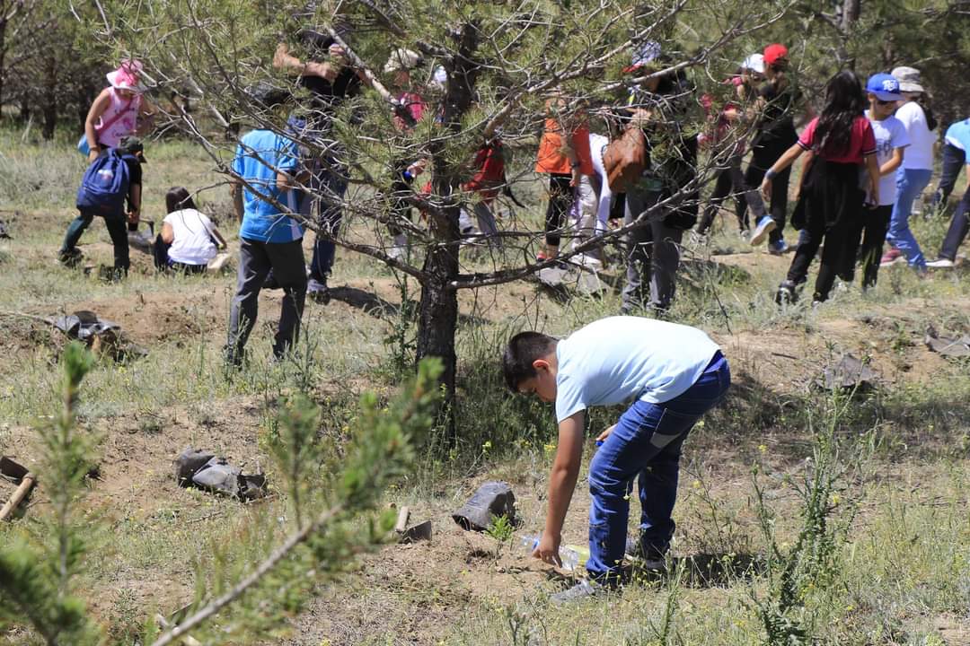 1-7 Haziran Türkiye Çevre Haftası Etkinlikleri Kapsamında Fidan Dikimi İle Türkiye Çevre Haftası Etkinliklerimizin Finalini Gerçekleştirdik