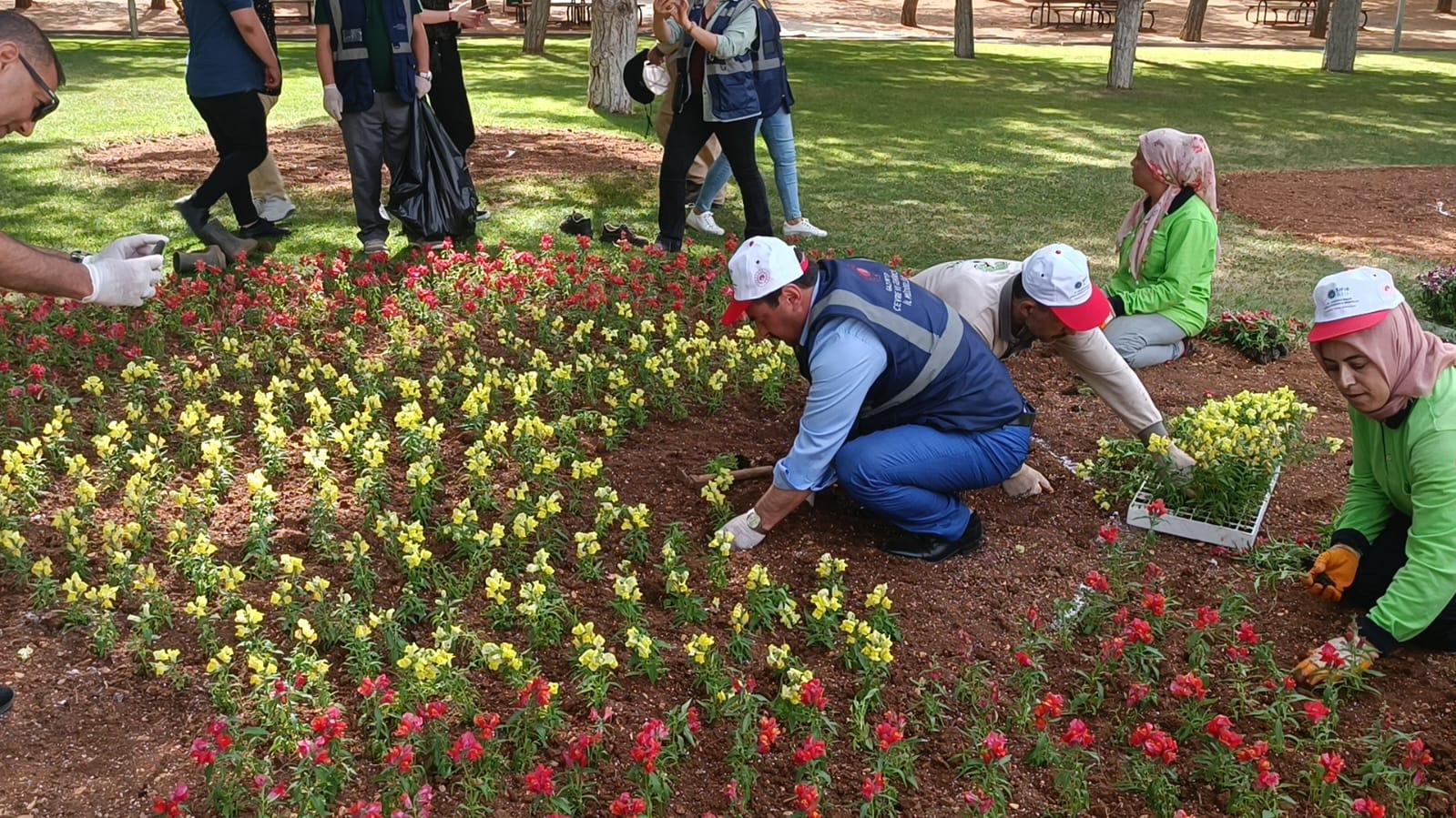 Türkiye Çevre haftasında  farkındalık oluşturmak amacıyla Dülük Ormanında Temizlik Etkinliği Yapılmıştır.