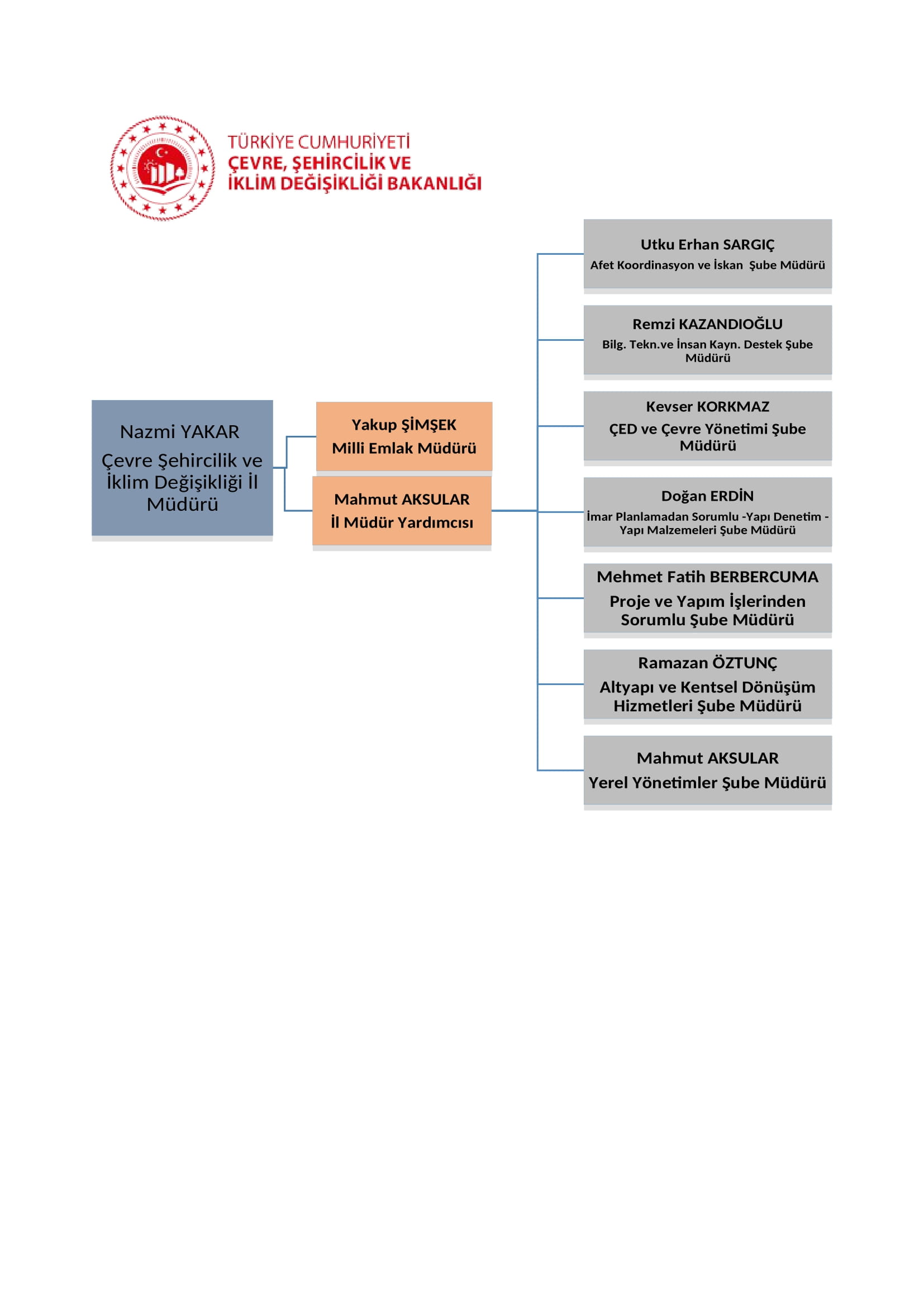 proje yönetimi organizasyon şeması