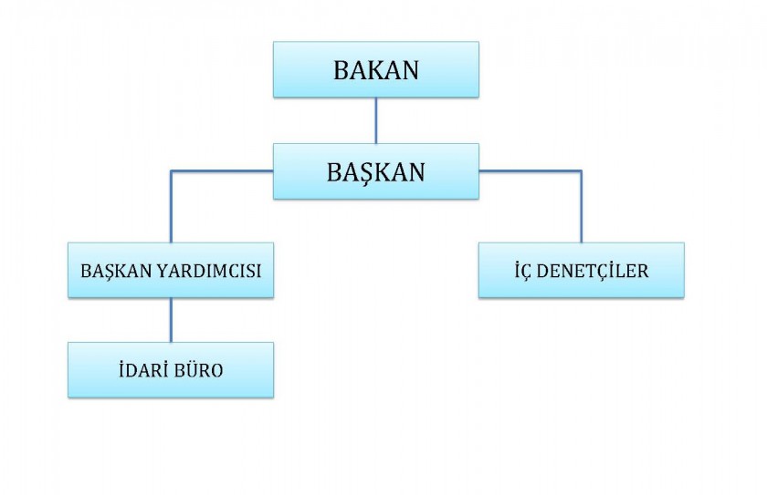 Organizasyon şema