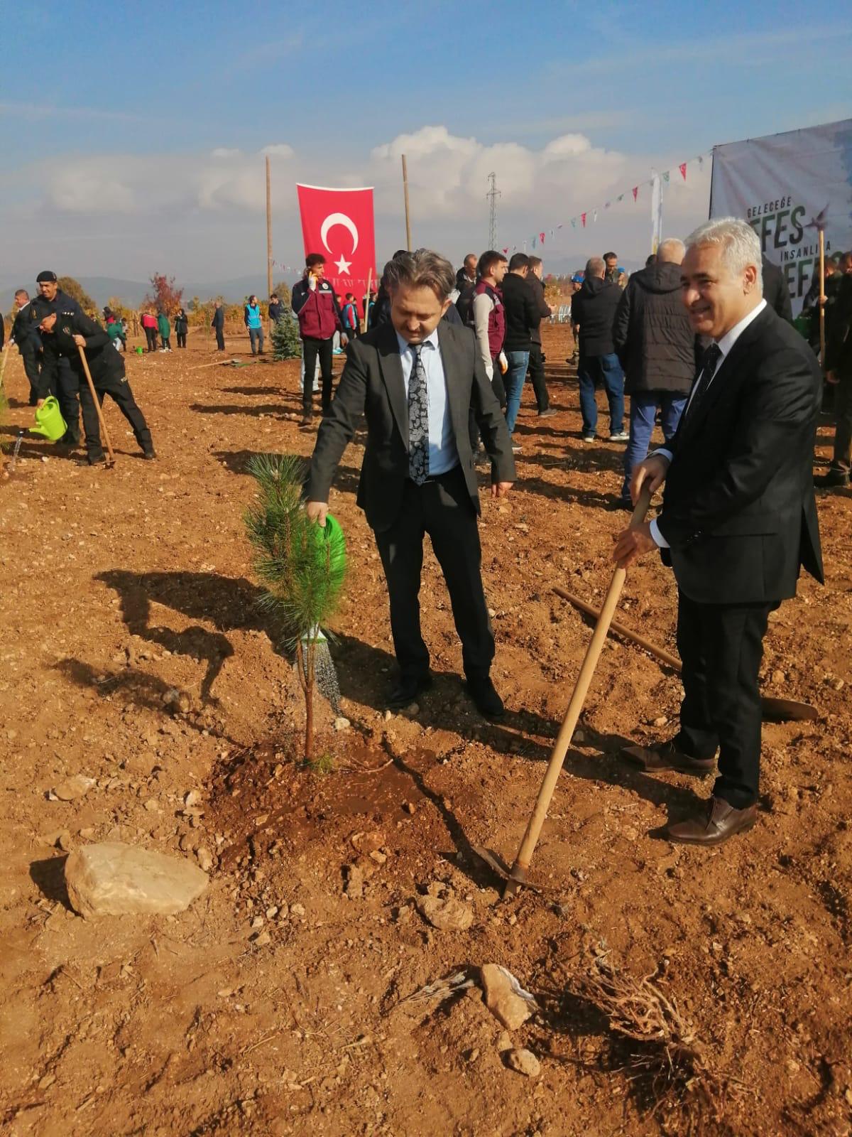 11 Kasım Milli Ağaçlandırma Günü Kutlaması