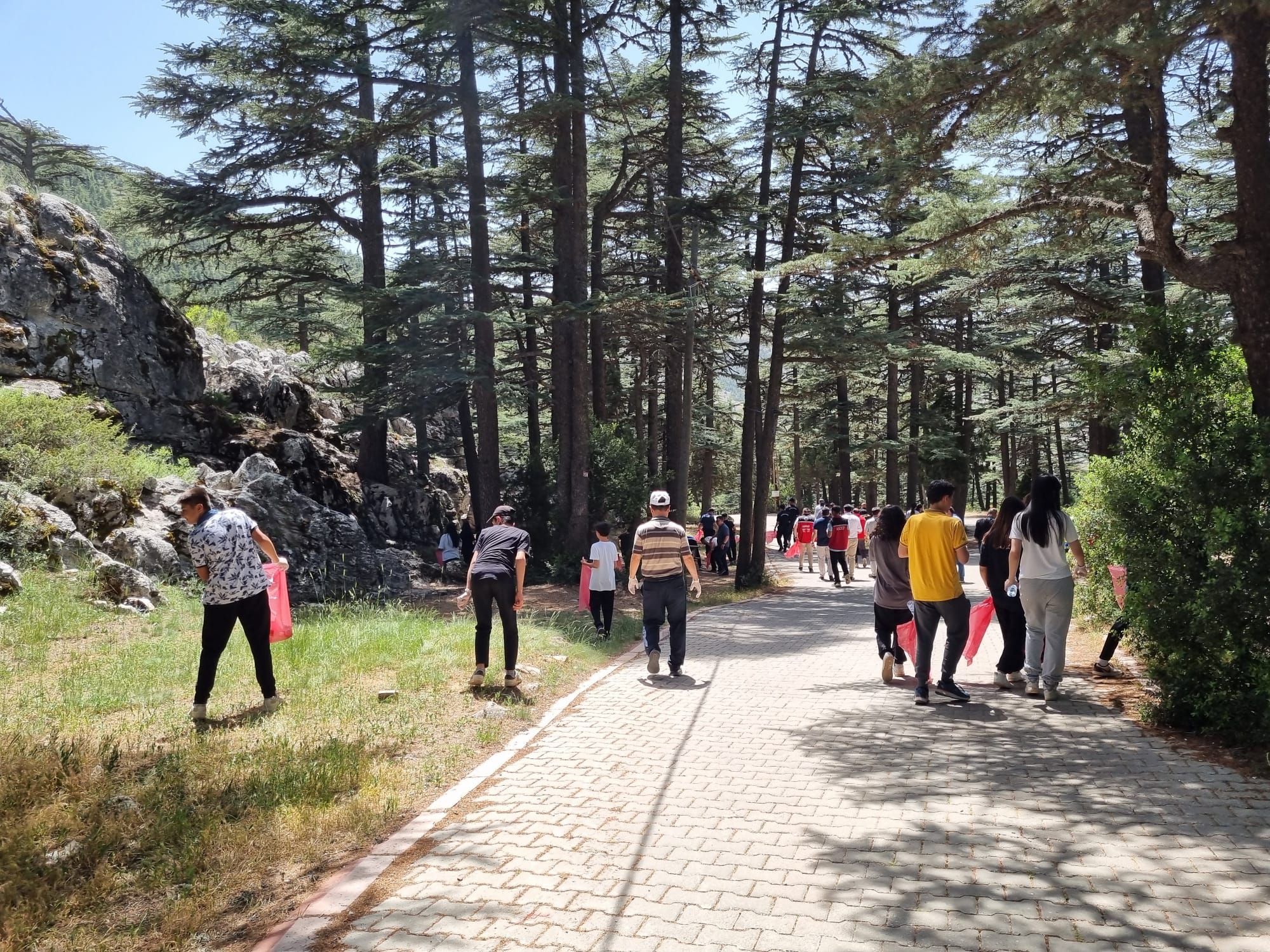 Şarkikaraağaç Belediyesi Çevre Haftası Etkinliği