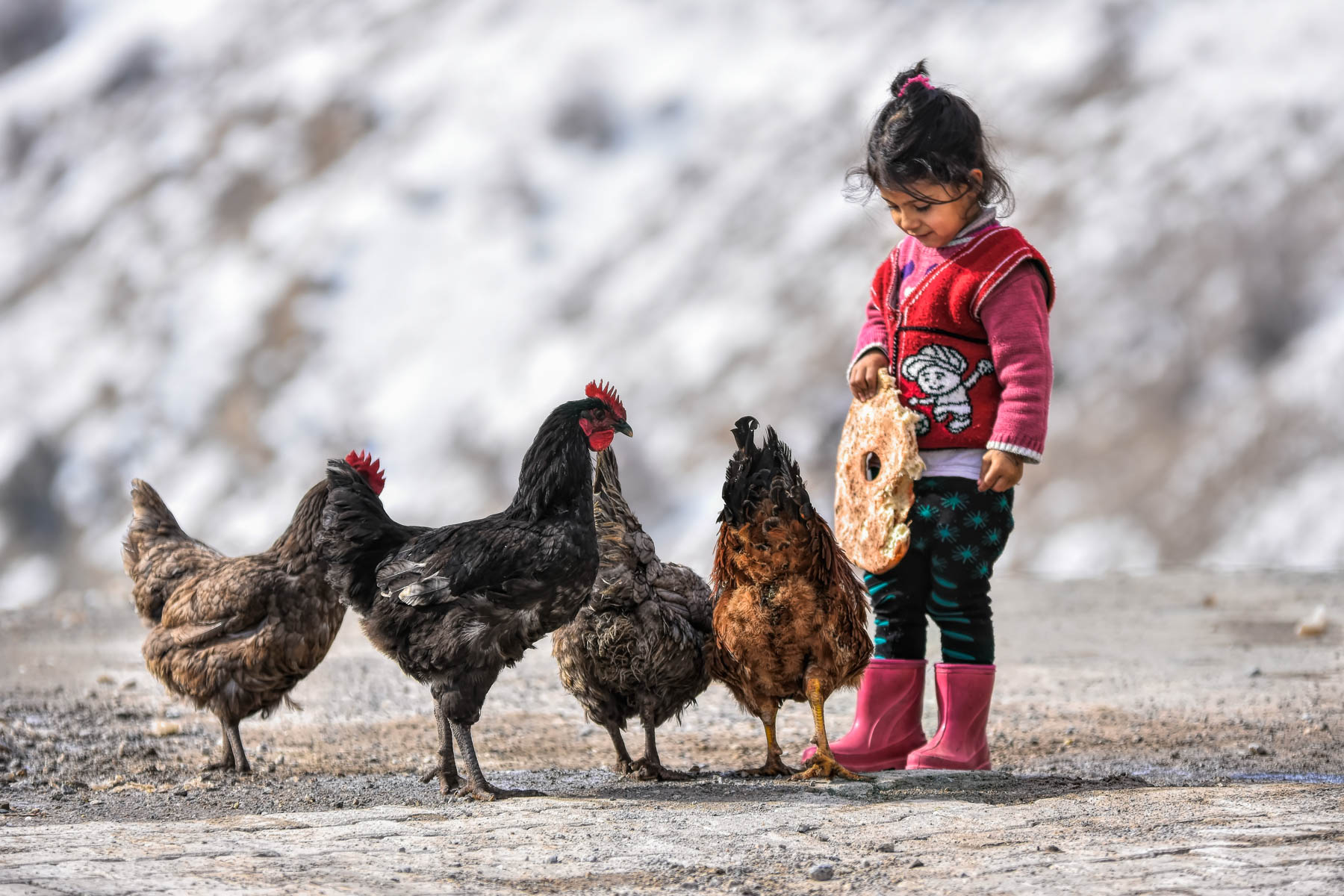 İZMİR ÇEVRE VE ŞEHİRCİLİK İL MÜDÜRLÜĞÜ TARAFINDAN DÜZENLENEN “YAŞANABİLİR ÇEVRE VE SIFIR ATIK” KONULU FOTOĞRAF YARIŞMASI SONUÇLARI